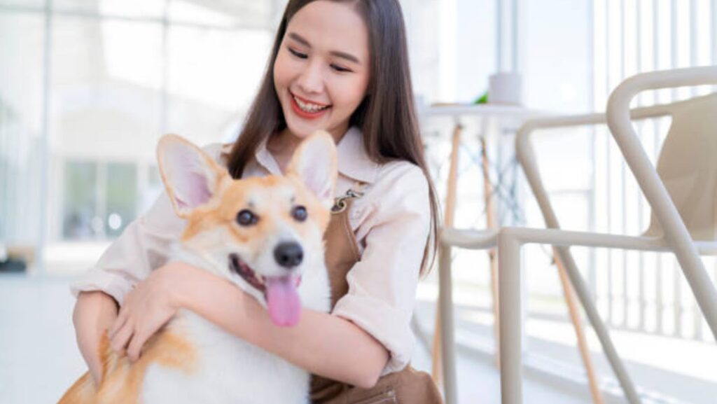 Dog Care Tips: The Ultimate Pet Parent’s Guide