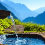The Essential Functions Of Water: All Of The Following Are Functions Of Water, Except