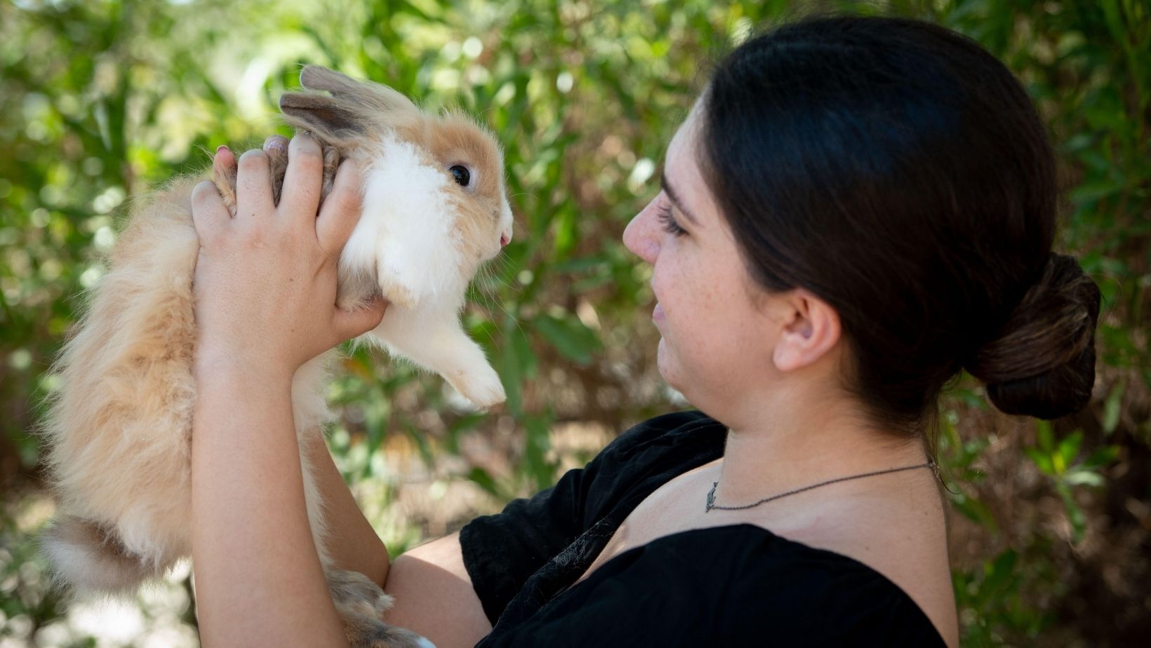 Everything You Need to Know About an Emotional Support Rabbit ...