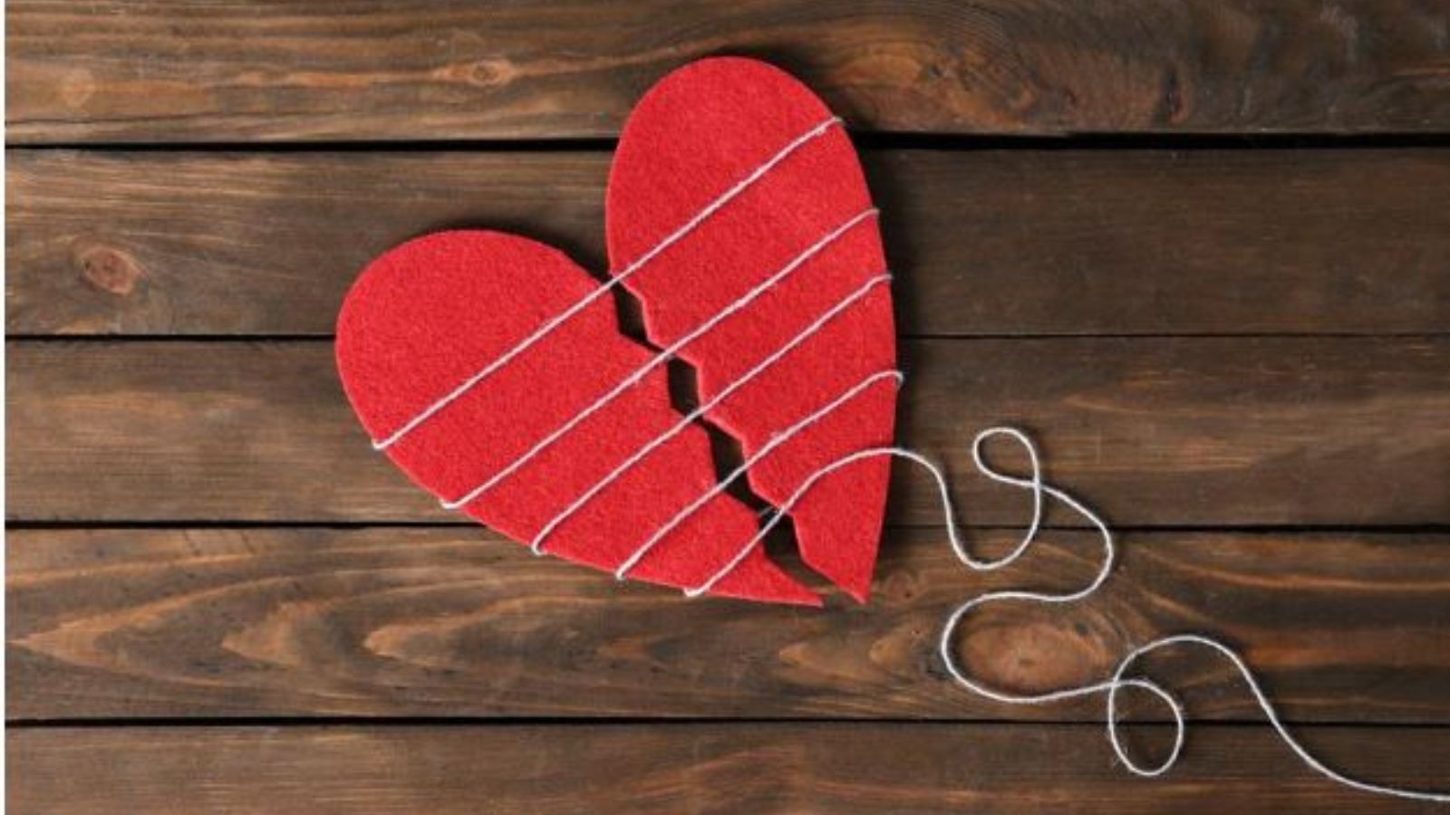 divorce lawyer